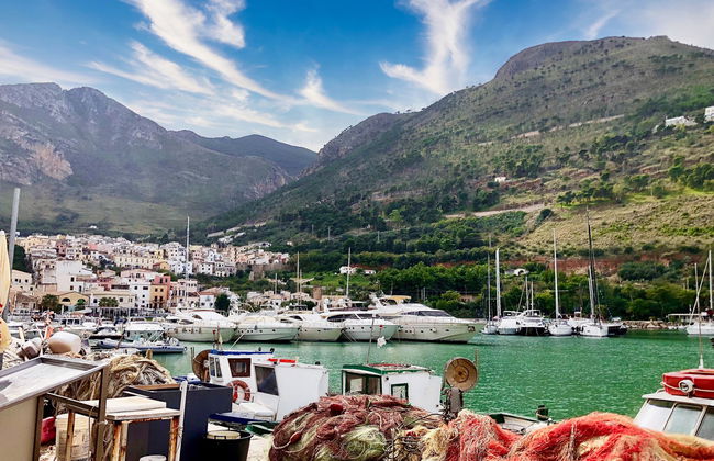 Melograno di Patrizia - Foto 27