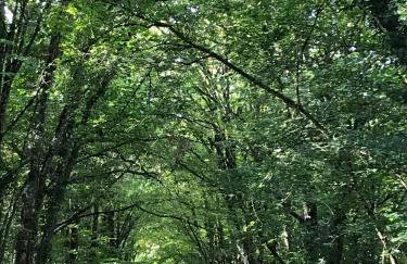 Gite Nature Loire et Châteaux 3* - Foto 37