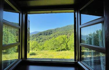 Παραδοσιακή πέτρινη κατοικία στην Βλάχα Ελάτης - Foto 42