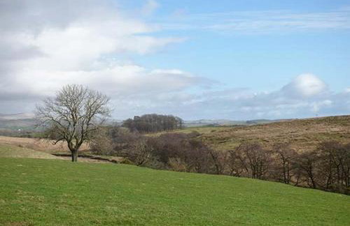 Wenning Bank - Foto 17