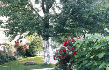 Gospic Riverside Apartment - Photo 25