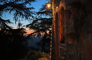 Terrazza sul Chianti - Photo 25