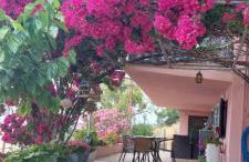 Βίλα Πασιθέα - Photo 18