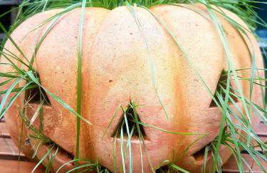 Woolly Hill House - Beautiful Townhouse in the Heart of Wooler - Photo 34