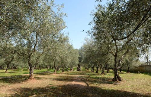 Holiday Home La Leccina - Foto 9