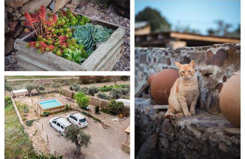 Recanto d'Aldeia - Foto 24