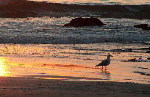 Casa Playa de Balares - Foto 26