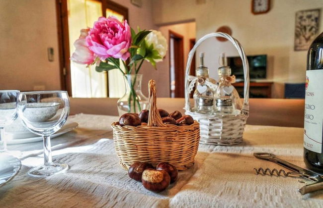 Villa Lustignano - Foto 19