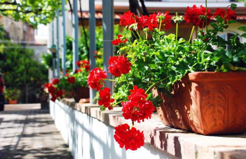 Spacious apartment in Ceraso with mountain view - Foto 50