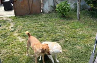 Da Betti e Luca - Photo 17