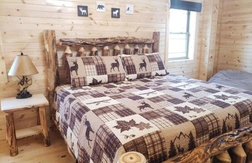 King of Hearts - Foto 12