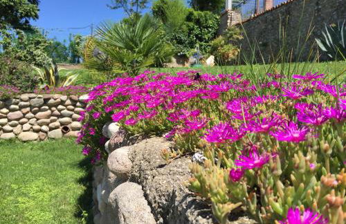 Paglia&Fieno - Photo 49