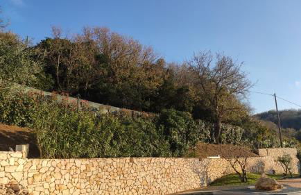 Il Corbezzolo Tropea Residence - Foto 28