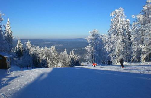 Apartment Birkenhain by Interhome - Foto 5