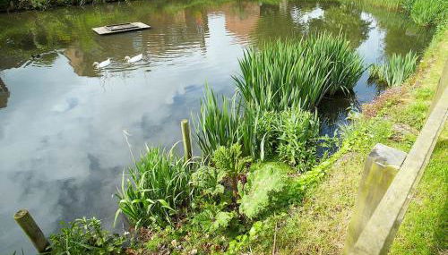 The White House - Foto 3, Garden, Garden view
