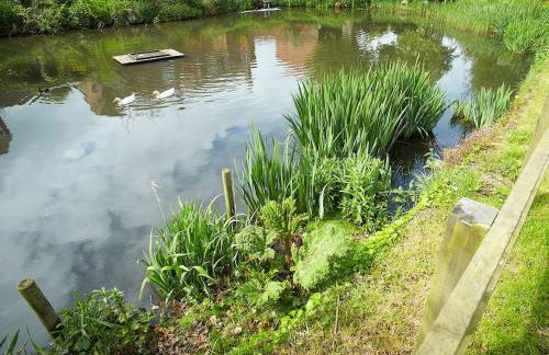 The White House - Foto 3