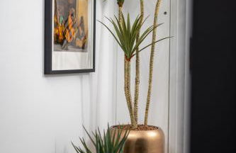 Les Maisons d Anthony Marseille - Foto 60