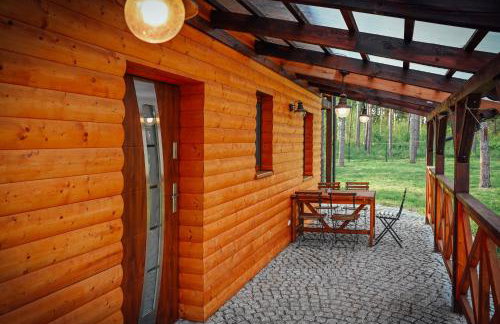 Domek letniskowy SZWED-POL - Foto 73