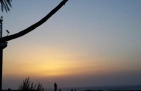 Alexandra Homestay - Foto 65