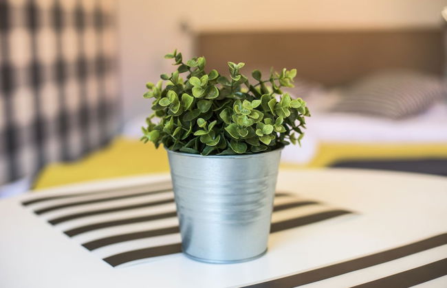 Apartamenty Centrum - Photo 14