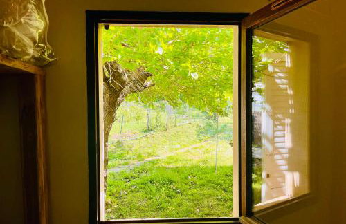 Sabali - Cottage Plage d'Argent at 100m - by TGB - Photo 13