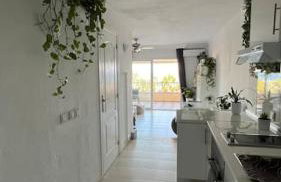 Apartamento Marina del Sol 121 - Foto 3