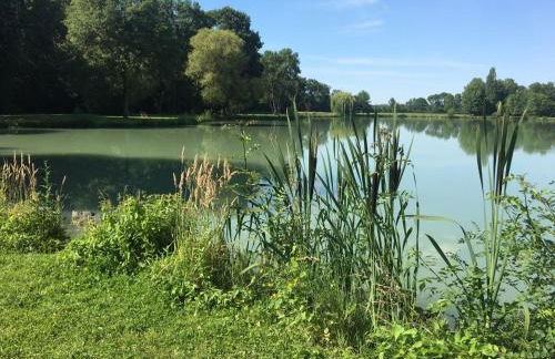 Le gîte de l'atelier - Photo 16