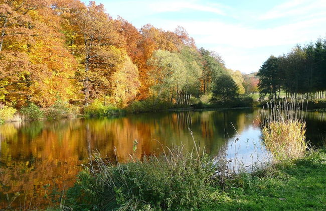 Natur-blockhaus in Waltershausen - Foto 17