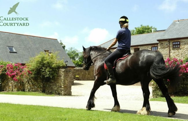 Callestock Courtyard - Foto 13