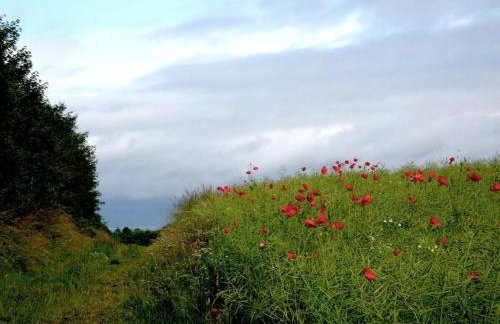 Holla - Huus Asgard Comfortable holiday residence - Foto 15