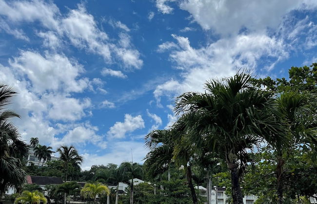 BonitaVillageLasTerrenas 4Beds8Pax - Foto 45