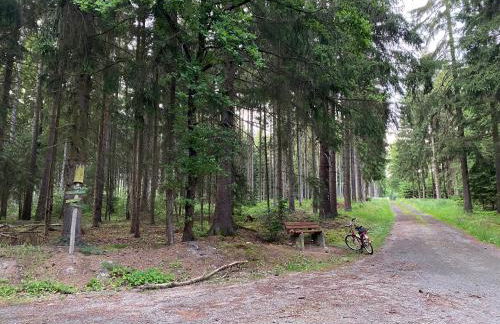Appartment am Königsberg, Lössau - Foto 17
