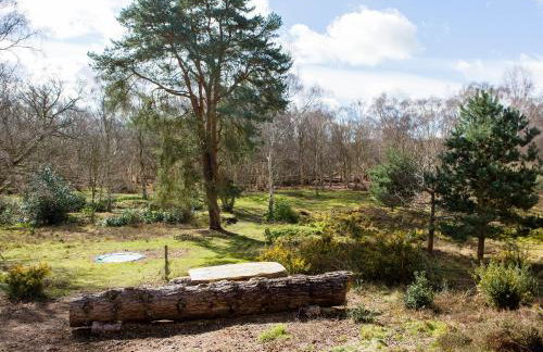 The Retreat - Foto 17