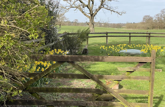 Private Entry Double Bedroom With Beautiful Views! - Foto 8