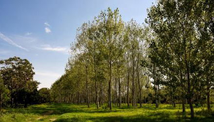 Masseria GiòSole - Foto 3