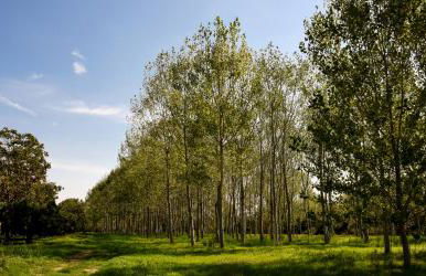 Masseria GiòSole - Foto 3