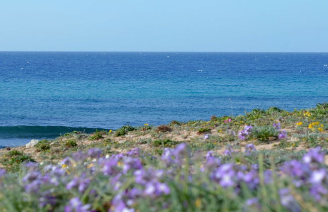 Residence Cala Verde - Foto 43