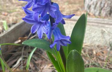 Farmstay Marianówka u Tesi - Foto 35