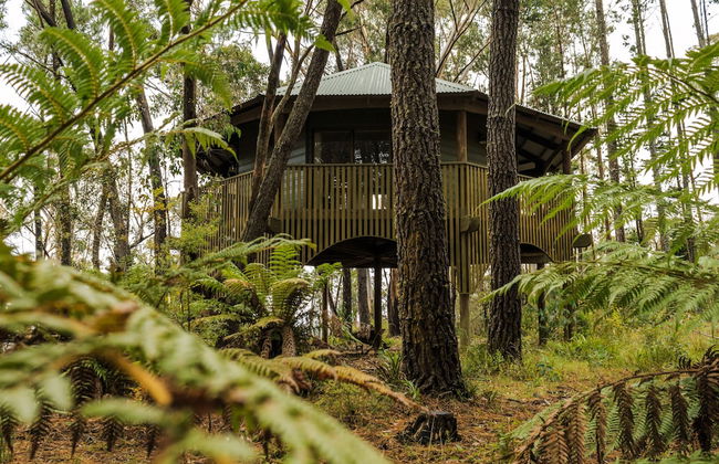 Federation Gardens & Possums Hideaway - Foto 59