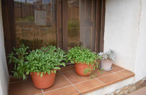 Tierras de Aguilera - Foto 34