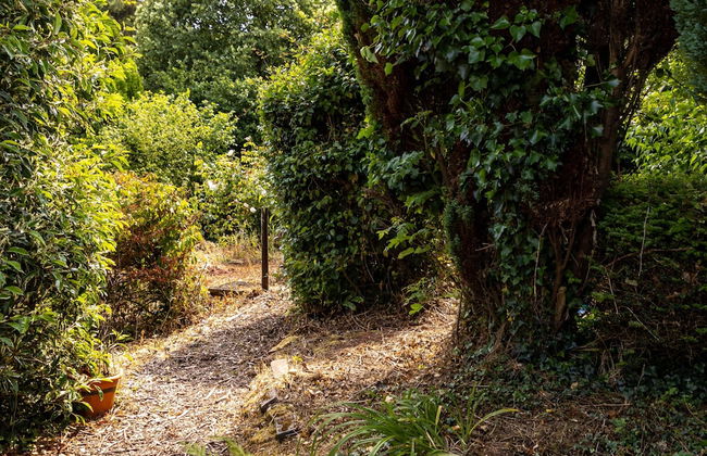 Bramblewood in Maidencombe - Foto 64