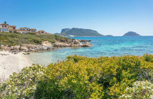 Golfo Aranci - Cala Delfino - Foto 15