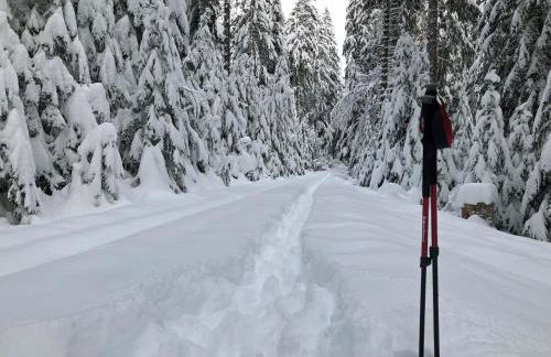 Lippenhof - Unter der Linde - Foto 32