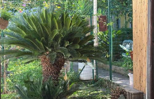 Nonna Alba casa vacanza - Foto 24