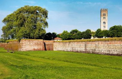 La Casa dell'Olivo - Foto 40