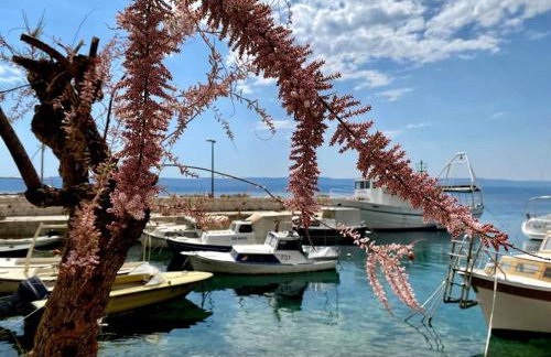 Waterview Apartments - Koru Apartment and pool - Photo 47