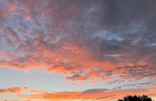 HOME OF OLYMPOS STUDIO - Foto 3