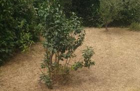 Villa Lina 6 pers plages et rivières - Foto 27