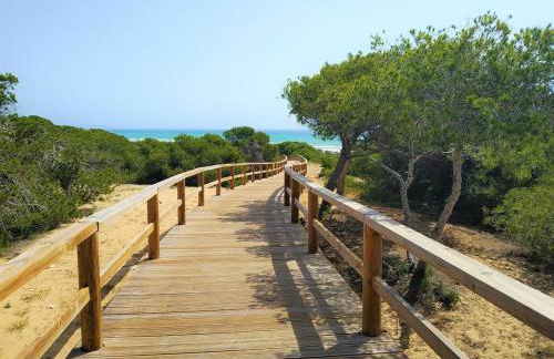 Apartamento con Jardín y Piscina en Guardamar del Segura - Foto 16