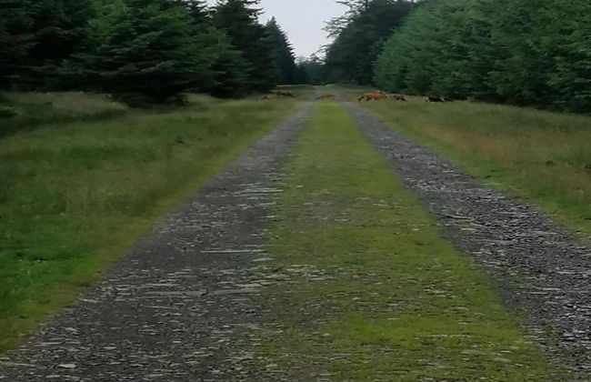 Historic Hideaway in Exbomont - Photo 36